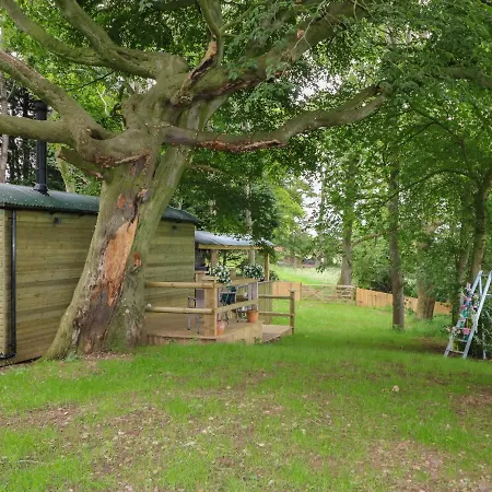 Holiday home High Rigg Shepherd's Hideaway *